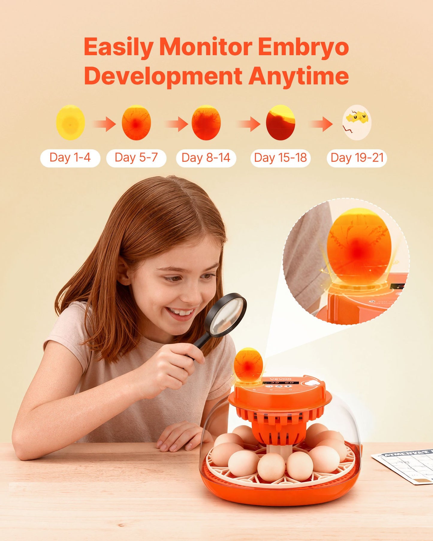 12 Egg Incubator, Automatic Egg Turner with LED Candler, Temperature & Humidity Control, 360° View Clear Window, Poultry Eggs Incubator for Home Farm, Hatching Chicks Ducks Goose Quail