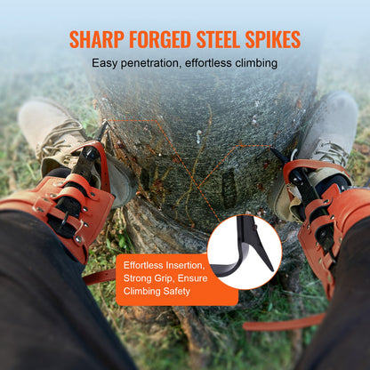 Tree Climbing Spikes, 1 Pair Alloy Steel Climbing Spurs, 350lbs Load Capacity Tree Climbing Gear with Straps and Spike Protectors, Arborist Equipment for Climbers, Hunting, Fruit Picking, Orange